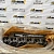 ГБЦ 3917287 (в сборе) B5.9 Евро-2 Cummins B5.9, 4BTA5.9, QSB5.9, 6EQB, 6ISB, 6BTAA (3934734; 3806256; 3802804) фото
