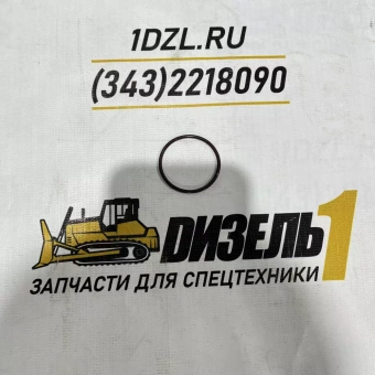 Кольцо уплотнительное форсунки 4307319 Cummins KTA19